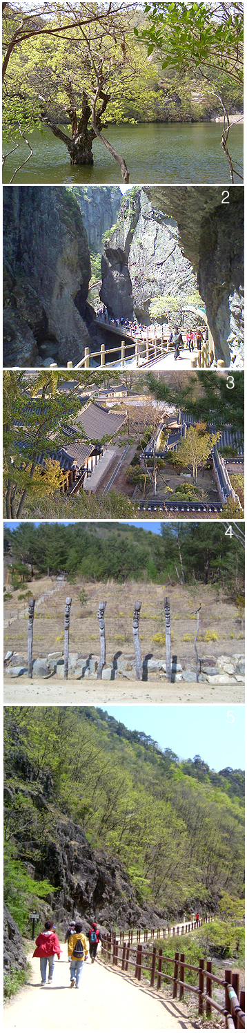 1. 청송 주산지 2. 주왕산의 명물 제1폭포로 가는 길목 3. 이문열씨 생가 4. 전국 최대 규모의 자생화 공원과 그 한쪽에 자리한 장승들 5. 주왕산 트레킹 코스로 올라가고 있는 관광객들.