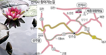 ▲ 선석사 입구 연못에 연꽃이 피었다. 비가 그친 사이 햇살이 잠깐 나자 연꽃은 활짝 꽃잎을 펼쳐보인다. 비가 내리면 연꽃은 다시 입을 다문다.