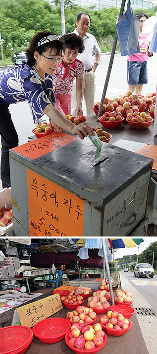 양심가게에서는 맛있는 과일을 사고 덤으로 양심까지 얻어갈 수 있다. 이곳에서는 인간에 대한 믿음을 새삼 느낄 수 있다.