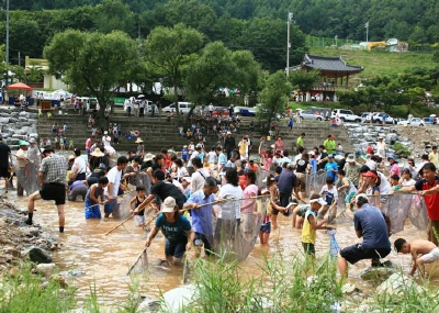 ▲ 지난해 반딧불이 축제 은어잡기 체험행사 장면.