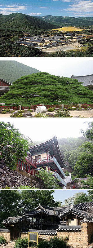 ▲ (사진 위로부터)운문사 전경, 천연기념물 제180호 처진 소나무, 운문사 사리암, 운강 고택.