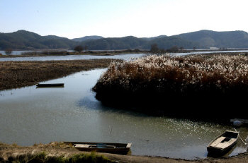 ▲ 창녕의 또 다른 볼거리인 우포늪은 국내 최대 규모의 자연 늪이다.(창녕군청 제공)