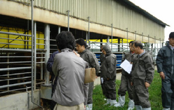 ▲ 한우 농장으로는 국내 처음으로 HACCP 인증을 받은 경주 서라벌농장이 관계자들로부터 위생 검사를 받고 있다.