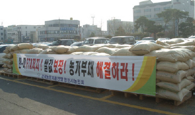 ▲ 영천시농민회가 시청광장에서 쌀값 보장 등을 요구하며 벼 300여 가마니를 야적했다.