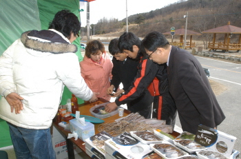 ▲ 이명박 대통령 당선인의 고향인 덕실마을 마을회관 앞에 마련된 구룡포 특산물 시식코너에서 방문객들이 과메기를 맛보고 있다.