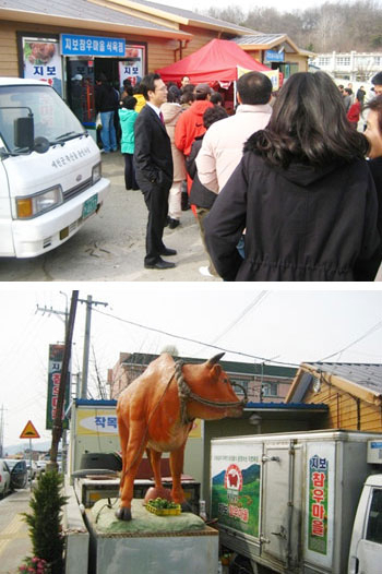 ▲네티즌이 올린 지보 참우마을 사진. 이곳을 비롯한 전국 한우마을들은 유통구조와 판매방법의 혁신을 통해 최고급 한우의 가격 파괴 돌풍을 일으키고 있다.