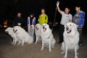 ▲ 도시형 대안학교인 