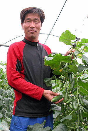 ▲ 군위읍 무성리에서 오이 농사를 하는 김용대(52) 씨가 오이데이 행사에 사용할 오이를 들어보이고 있다.