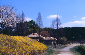 영남대 민속원