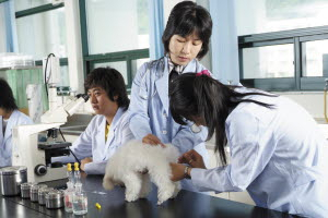 ▲ 대구산업정보대학은 
