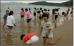 대구 용호초교 어린이들이 자매학교인 완도중앙초교를 방문해 그곳 친구들과 바닷가에서 즐거운 시간을 보내고 있다.