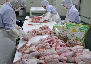▲ 여름철 닭고기 성수기를 맞아 닭고기 가격이 급등했다. 대구 달서구 성서공단 내 한 닭고기 가공 공장. 이채근기자 mincho@msnet.co.kr