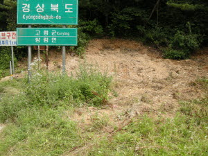 ▲ 전두환 전 대통령의 선영이 있는, 경남 합천과 경북 고령의 경계 지역인 지릿재 도로변. 수십년 된 조경수의 불법 굴취로 빈 자리가 황폐해졌다. 정광효기자