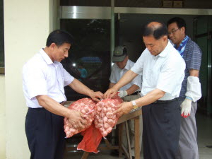▲ 21일 의성동부농협 사곡 마늘창고에서 2008년산 한지마늘 수매가 시작됐다. 이희대기자