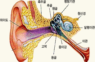 귀 구조도