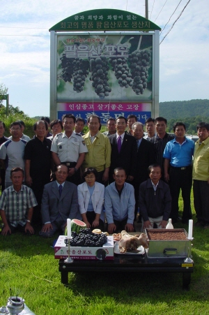 ▲ 전국 최고의 명품포도로 인정받고 있는 상주 팔음산포도가 지난 5일 기원제를 갖고 올해 첫 출하됐다.