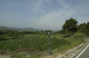 ▲ 포항 죽장면 상사리에 설치한 야생동물 피해 방수망.