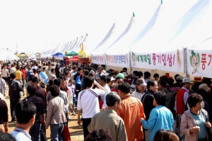 ▲ 2008 영주 풍기인삼축제가 95만명의 관광객이 찾은 가운데 성황리에 열렸다.