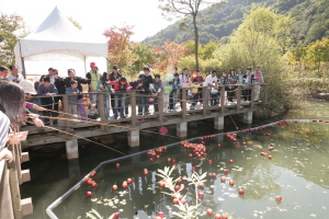 ▲ 문경사과축제에서 관광객들이 낚싯대로 사과를 건져 올리며 즐거워 하고 있다. 권동순기자