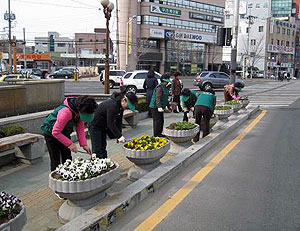 ▲ 시범가로 꽃길가꾸기