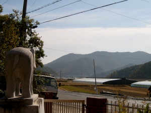 ▲ 호랑이를 노려보는 코끼리 석상. 풍수에선 산을 살아있는 동물로 보기도 한다. 맞은 편 가운데 산의 채석장이 호랑이 얼굴이다. 뒤의 산 능선은 호랑이 등줄기가 된다.