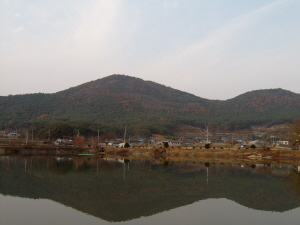▲ 정산과 가일마을 전경. 주민들은 정산의 세 봉우리가 학이 날개를 접고 둥지에 앉는 형상이라 했다. 왼쪽 긴 능선이 학의 부리가 된다. 정면으로 보이는 짧은 능선에 안동 권씨 입향조 권항 묘소가 있다. 고택들은 주맥이 끝나는 지점에 자리 잡았다.