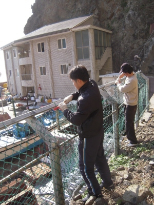 ▲ 독도에 살려면 만능인이 되어야 한다. 서도 뒷산에서 바위가 굴러 망가진 철망을 보수하고 있는 독도관리사무소 직원.