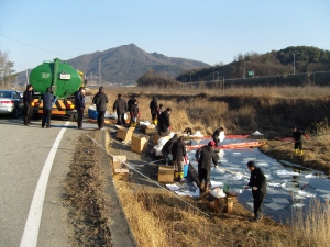 ▲ 상주시 공무원과 주민들이 3, 4일 낙동면 운평리 소하천으로 흘러든 콩기름 제거작업을 하고 있다. 이홍섭기자