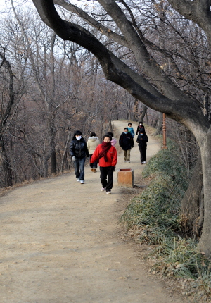 ▲ 6일 오후 달성공원 토성길에는 쌀쌀한 날씨인데도 산책과 운동을 나온 사람들의 발길이 끊이지 않고 있다.