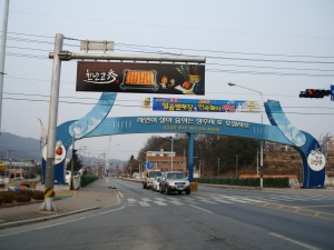 ▲ 상주시가 주요도로 안내 표지판의 뒷면을 지역 특산물과 관광명소 그림으로 장식, 좋은 반응을 얻고 있다. 상주시 제공