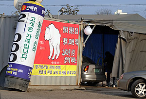 ▲ 이달 초 경찰이 대대적인 단속을 벌인 대구 달서구 월암동 구 비상활주로 유사휘발유업소에서 11일 오후 업주들이 여전히 업소 문을 열고 차량에 유사휘발유를 주유하고 있다. 이채근기자 mincho@msnet.co.kr