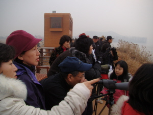 ▲ 2009년 1월 낙동강 철새탐조 모습. 영남자연생태보존회 제공