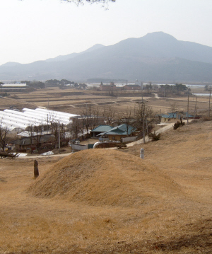▲ 오른쪽 높은 산이 옥녀봉의 배필이 되는 조산인 비봉산이다. 들 복판으로 청룡이 길게 뻗어 안대를 형성하고 있다. 건물이 보이는 나지막한 구릉이다.