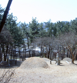 ▲ 두사충 묘. 주위의 보국이 아름다운 곳이다. 양쪽에 서있는 작은 문인석들이 특이하다.