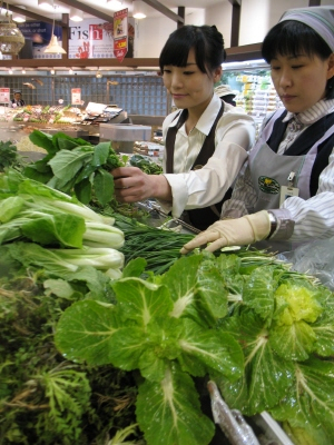 ▲ 봄이 왔다. 우리집 식탁에도 봄을 올려놔보자. 특히 봄나물은 봄의 냄새를 가장 강하게 전달할 수 있다. 사진제공·동아백화점