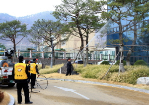 ▲ 지난 2일 영양군 직원들이 영양읍 소재 소공원에서 가로수 병해충 방제 작업을 하고 있다. 영양군 제공