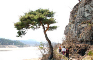 ▲ 서애 류성룡은 겸암정사에 있는 형을 만나기 위해 옥연정사와 겸암정사 사이에 있는 부용대 층길을 아침저녁마다 걸어다녔다.