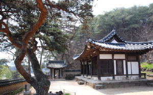 ▲ 목연정사