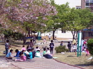 ▲ 지난해 대구자연과학고 자연환경 체험행사 모습. 대구자연과학고 제공.
