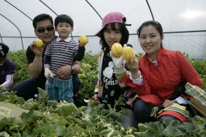 ▲ 2009 성주참외축제가 5월 1일부터 3일까지 사흘간 성주읍 성밖숲 일원에서 열린다. 사진은 지난해 축제. 성주군 제공