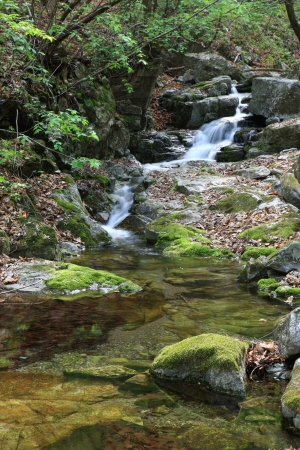 ▲ 일월산과 반변천은 영양에 생명을 주고, 경북의 젖줄인 낙동강에 큰 물도 내주고 있다. 가뭄이 극심해 계곡 물이 말라가는 이 때 반변천의 발원지인 일월산의 계곡에는 청정수가 넘쳐 흐르고, 이끼가 바위를 뒤덮을 만큼 계곡이 살아 있다.
