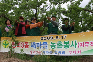 ▲ 대구 서구 평리3동 새마을협의회와 부녀회 회원 33명이 17일 자매결연 마을인 의성 봉양면 삼산3리를 찾아 자두 열매솎기 봉사활동을 했다. 이희대기자