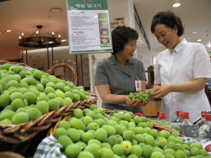 ▲ 산과 들에 열매가 넘치는 계절이다. 이럴 때 다양한 열매를 구입, 과실주 등을 담가놓으면 1년내 