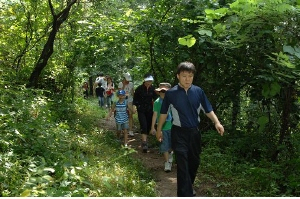 ▲ 소백산 자락길로 지정된 죽령 옛길을 탐방객들이 걷고 있다.