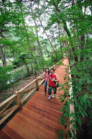 청도 운문사에 1,3km 거리의 보행자 전용 에코로드가 조성됐다