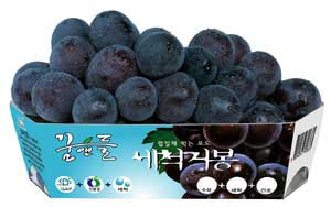 GAP 인증조직으로 선정된 꿈앤들 거봉작목회의 포도(왼쪽)와 가교버섯영농조합법인의 버섯.