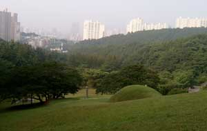 정문도 묘 전경. 겹겹으로 환포한 백호자락들이 포근한 느낌을 준다. 집들로 채워진 안산 쪽은 옛 사진 속에선 작은 구릉들로 이루어져 있다.