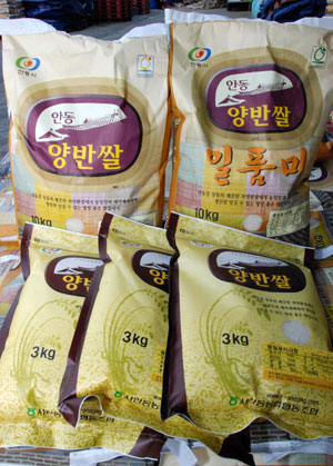 중동지역으로 첫 수출되는 안동 