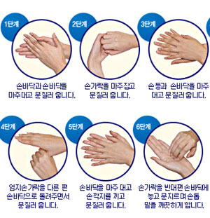 범국민손씻기운동본부가 권하는 올바른 손씻기 방법 6단계