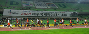 25일 대구스타디움에서 열린 2009대구국제육상경기대회 남자 5천m에 출전한 선수들이 힘차게 트랙을 돌고 있다. 이채근기자 mincho@msnet.co.kr